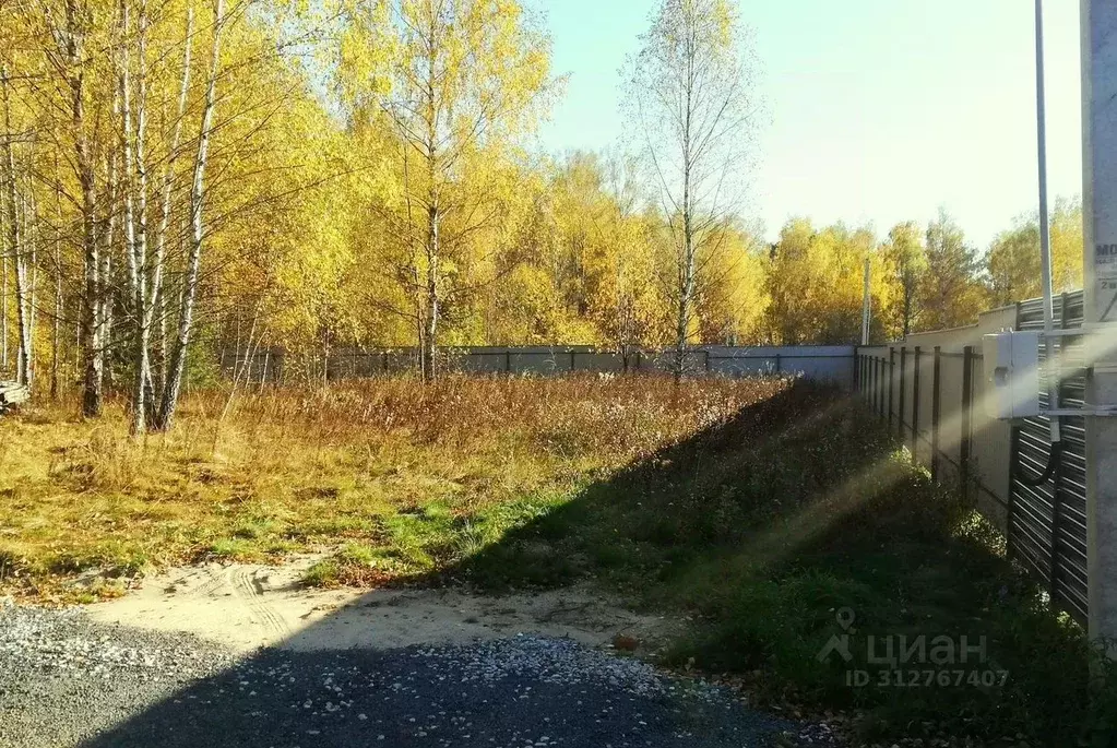 Участок в Московская область, Пушкинский городской округ, Софрино рп ... - Фото 1