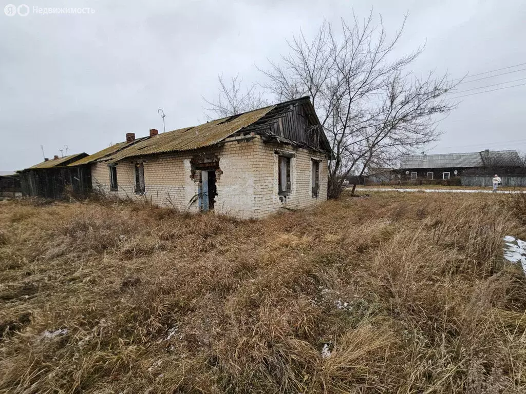 Участок в Каслинский район, Григорьевское сельское поселение, село ... - Фото 0