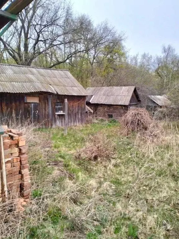 Дом в Самарская область, Сызрань Рабочая ул., 34 (61 м) - Фото 1