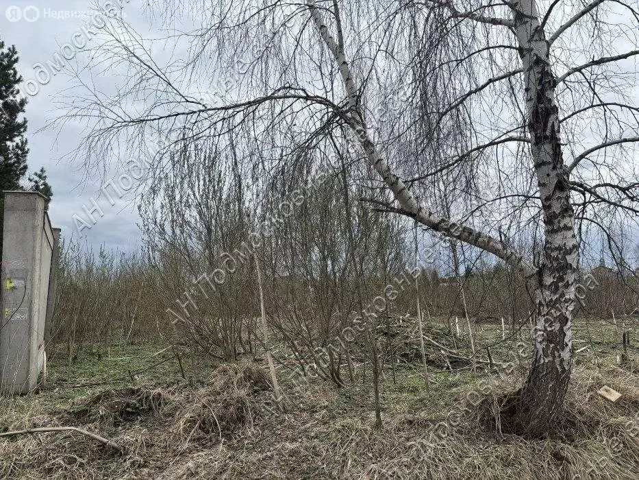 Участок в деревня Бережки, 4 (6.55 м) - Фото 1