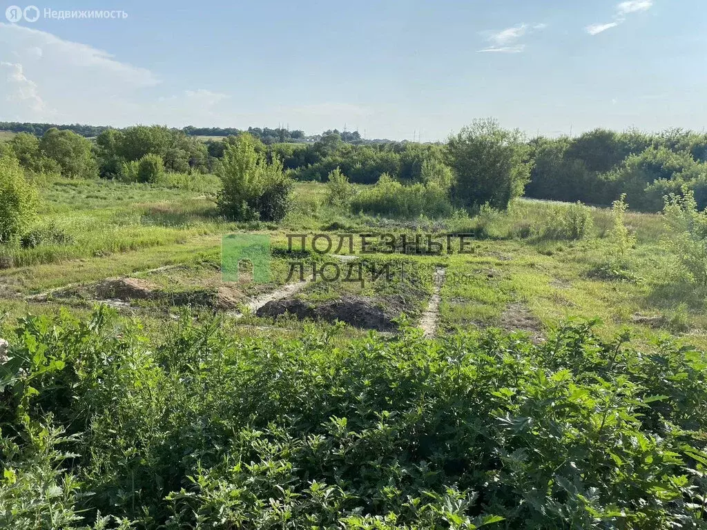 Участок в село Репное, Зелёная улица (20 м) - Фото 1