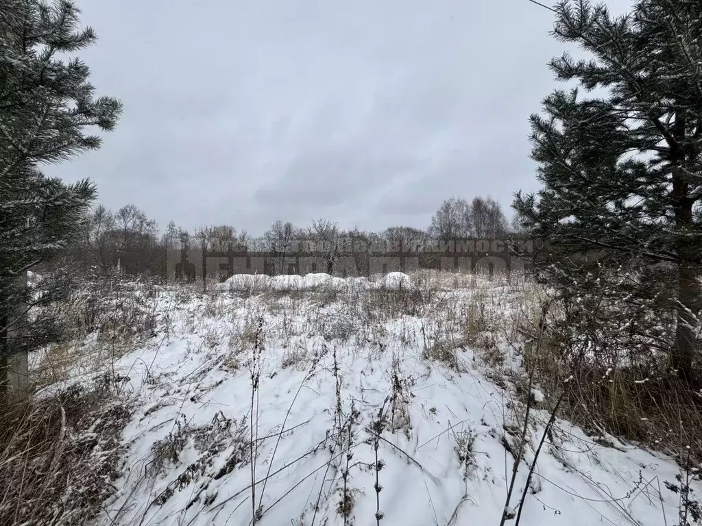 Участок в Смоленская область, Смоленский муниципальный округ, д. ... - Фото 2