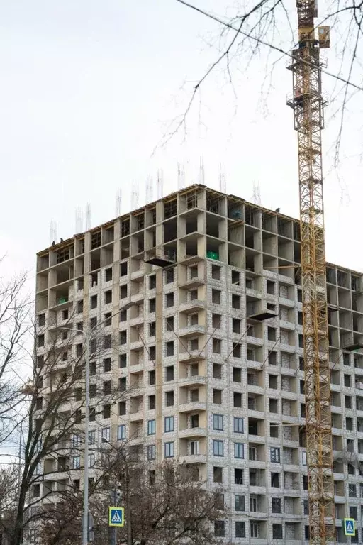 3-к кв. Липецкая область, Липецк ул. Буденного, 2 (65.0 м) - Фото 2