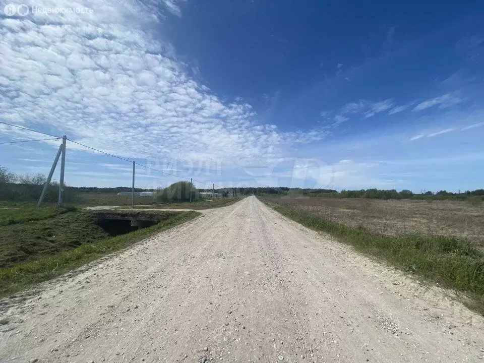 Участок в Светловский городской округ, посёлок Песчаное (25000 м) - Фото 1