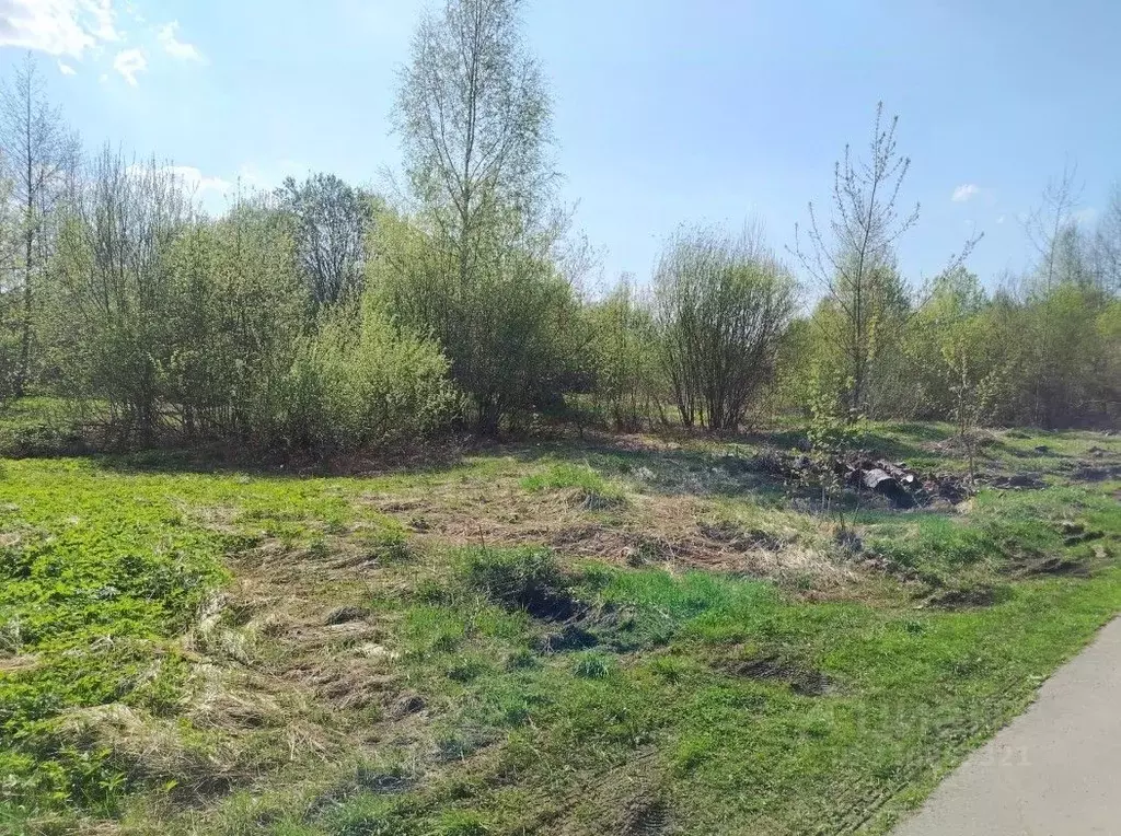Участок в Московская область, Орехово-Зуевский городской округ, пос. ... - Фото 1