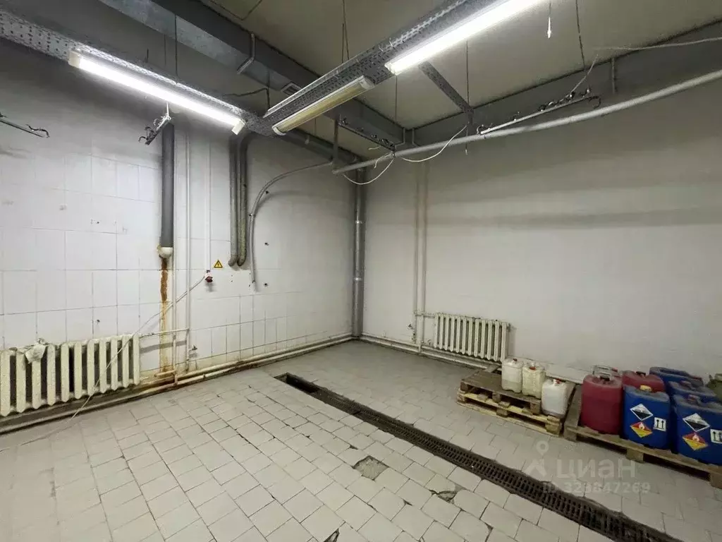 Помещение свободного назначения в Пермский край, Пермь Сибирская ул., ... - Фото 2