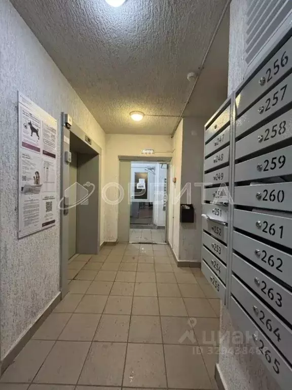 Студия Тюменская область, Тюмень ул. Новоселов, 107к2 (23.0 м) - Фото 2