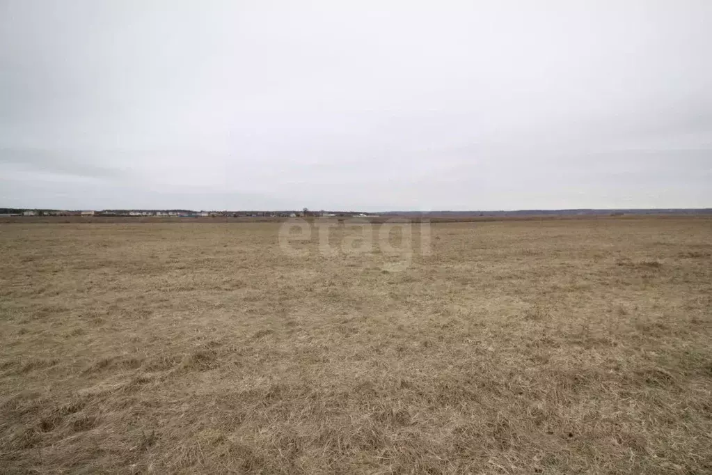 Участок в Калужская область, Дзержинский муниципальный округ, с. ... - Фото 0