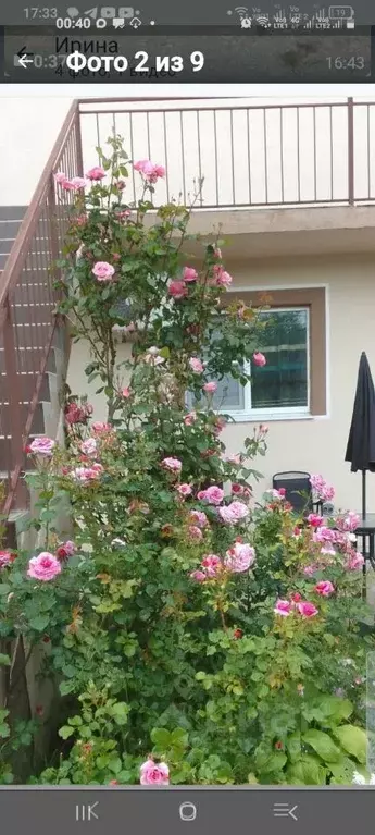 Студия Краснодарский край, Анапа муниципальный округ, пос. Пятихатки ... - Фото 1