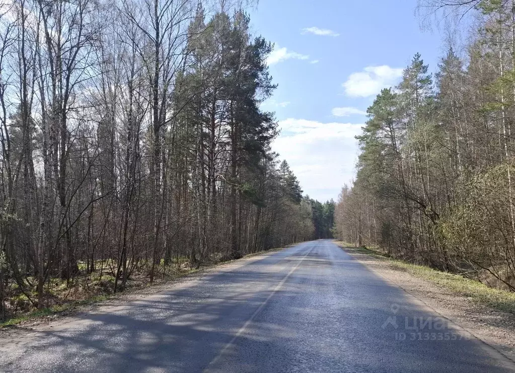 Участок в Владимирская область, Владимир Лунево мкр, ул. Луневская ... - Фото 0