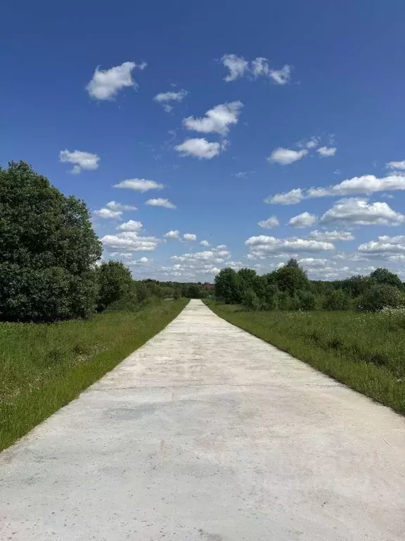 Участок в Владимирская область, Александровский район, Каринское ... - Фото 0