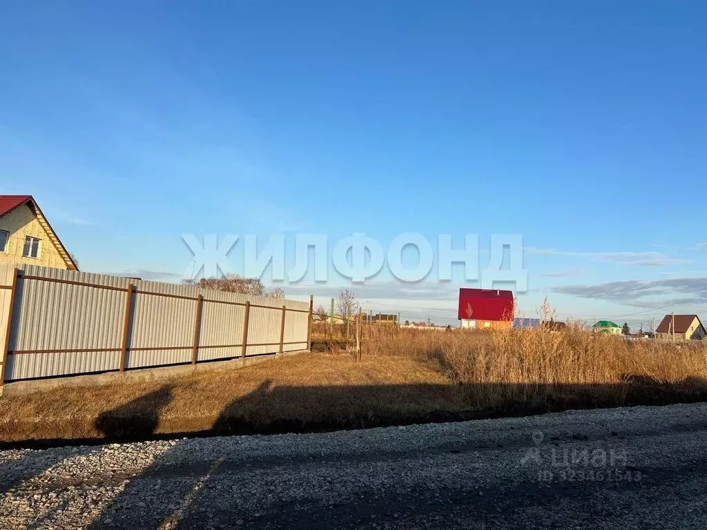 Участок в Новосибирская область, Коченевский район, Чик рп ул. Титова ... - Фото 1