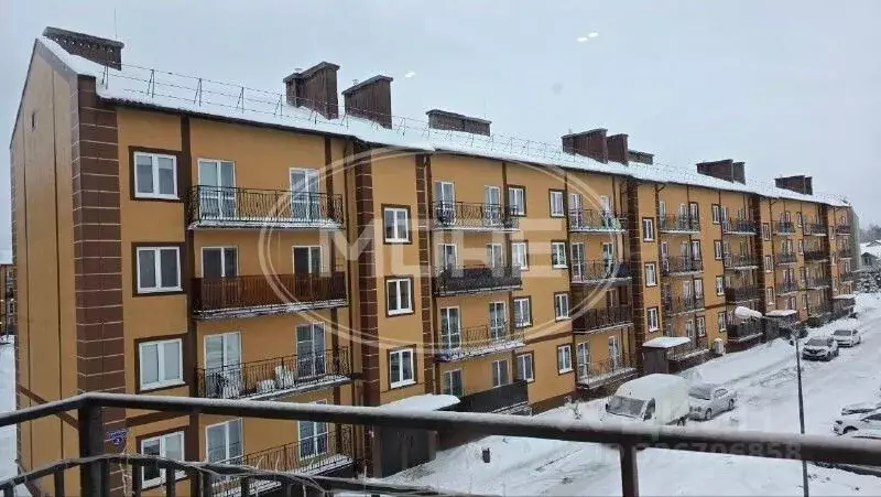 1-к кв. Калининградская область, Зеленоградский муниципальный округ, ... - Фото 1