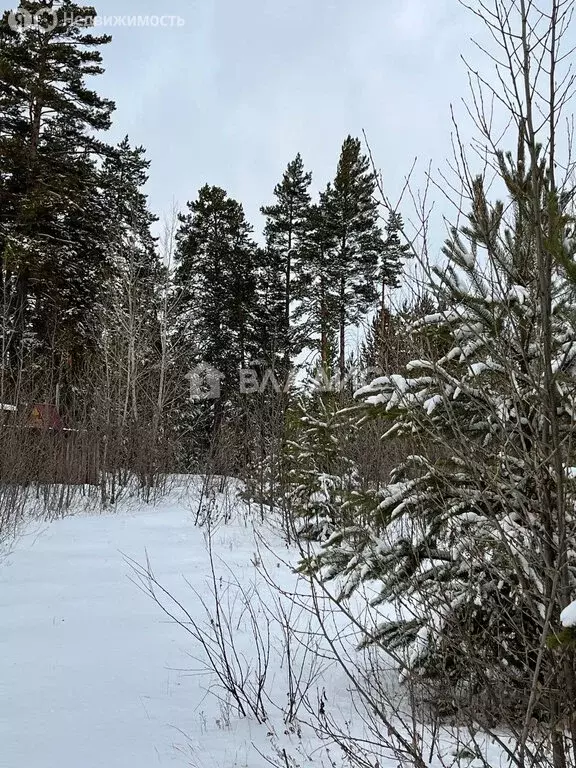 Участок в Тарбагатайский район, сельское поселение Заводское, ДНТ ... - Фото 2
