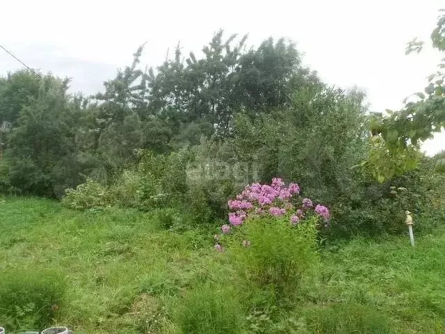 Дом в Ярославская область, Ярославский муниципальный округ, Заволжское ... - Фото 1