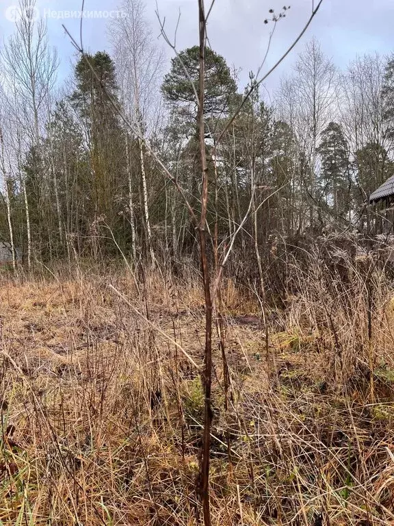 Участок в Елизаветино, Гатчинское шоссе, 9 (15 м) - Фото 1
