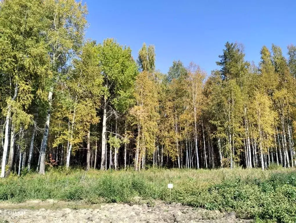 Участок в Свердловская область, Сысертский городской округ, пос. ... - Фото 0