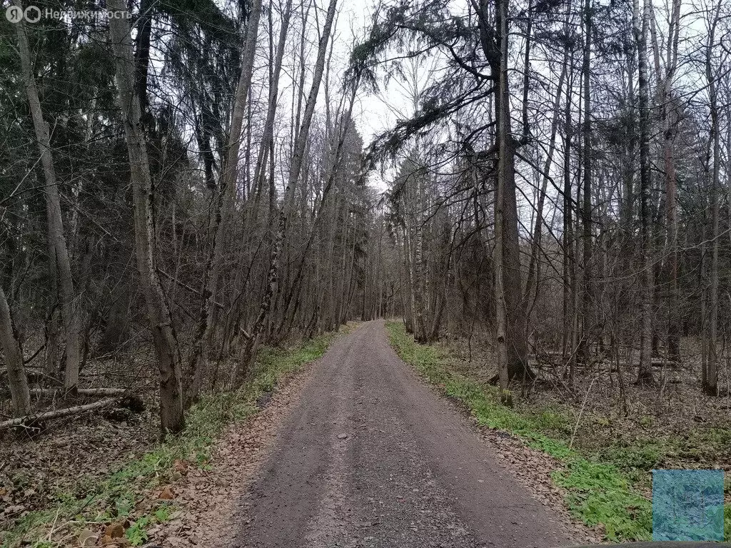 Дом в Московская область, городской округ Солнечногорск, посёлок ... - Фото 0