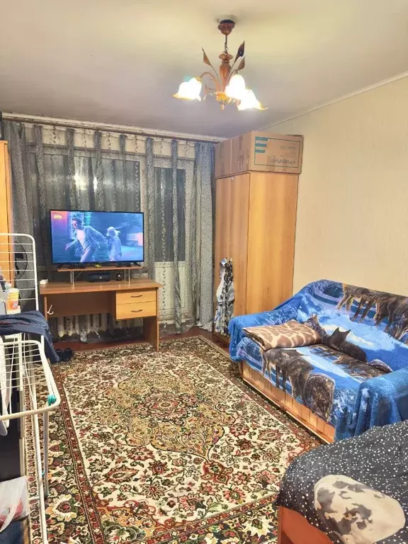 1-к кв. Тверская область, Конаково ул. Строителей, 14 (29.9 м) - Фото 2