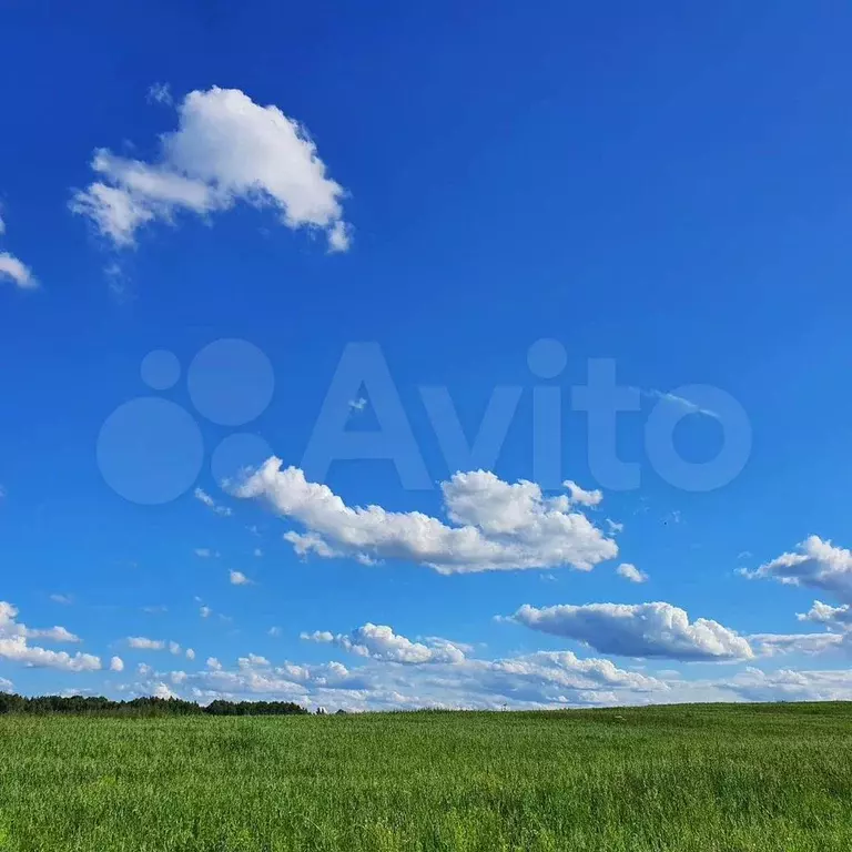 Участок 15 сот. (ИЖС) - Фото 0