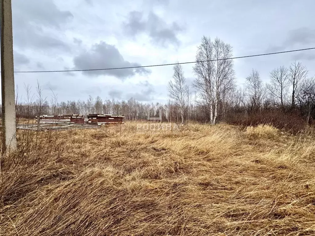 Участок в Хабаровский край, Комсомольский район, с. Новый Мир  (20.0 ... - Фото 0
