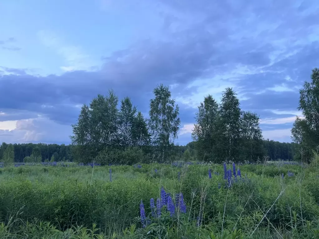 Участок в Нижегородская область, Бор городской округ, д. Макарово 4 ... - Фото 0