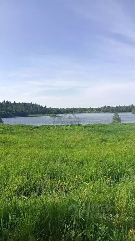 Участок в Новгородская область, Крестецкий муниципальный округ, д. ... - Фото 1