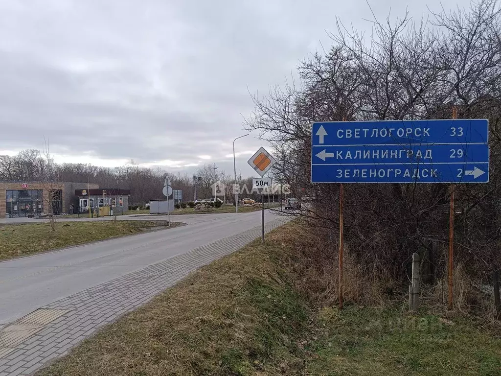 Участок в Калининградская область, Зеленоградск ул. Молодежная (7.75 ... - Фото 2