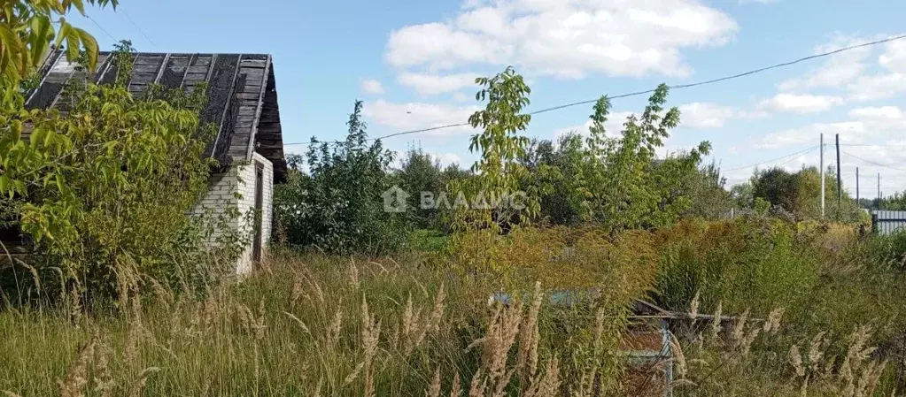 Участок в Владимирская область, Ковров № 1 Текстильщик СНТ, 26 (7.5 ... - Фото 1