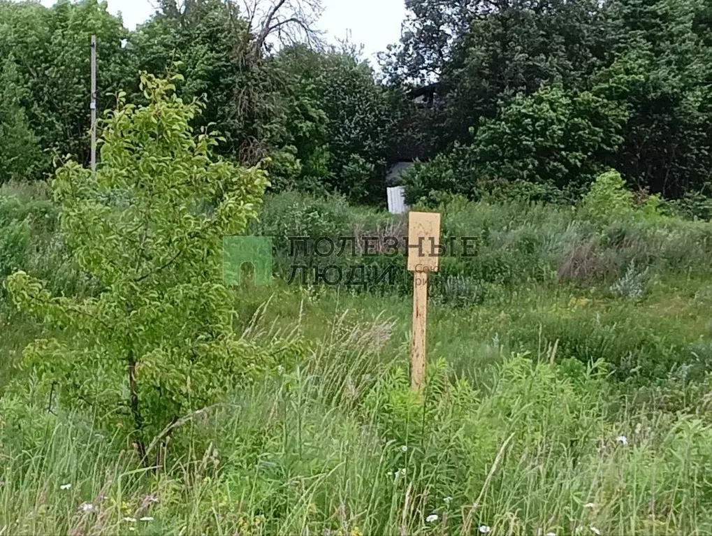 Участок в Орловская область, Орловский муниципальный округ, с. ... - Фото 2