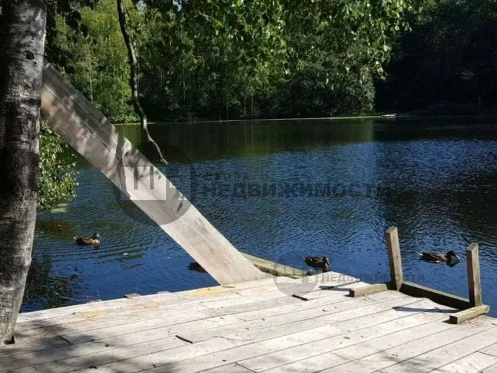 Участок в Ленинградская область, Всеволожский район, Куйвозовское ... - Фото 1