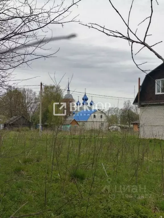 Участок в Костромская область, Красносельский район, Шолоховское ... - Фото 2