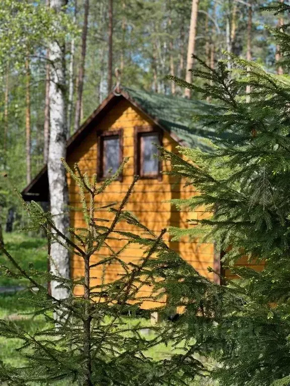Дом в Карелия, Лахденпохский муниципальный округ, пос. Лумиваара  (65 ... - Фото 1