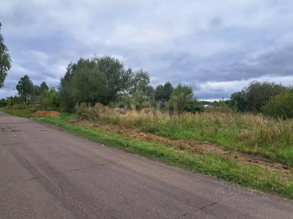 Участок в Мордовия, Саранск городской округ, д. Танеевка ул. ... - Фото 0