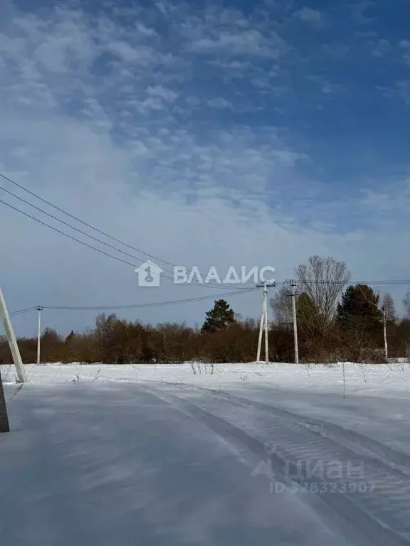Участок в Нижегородская область, Дальнеконстантиновский муниципальный ... - Фото 2