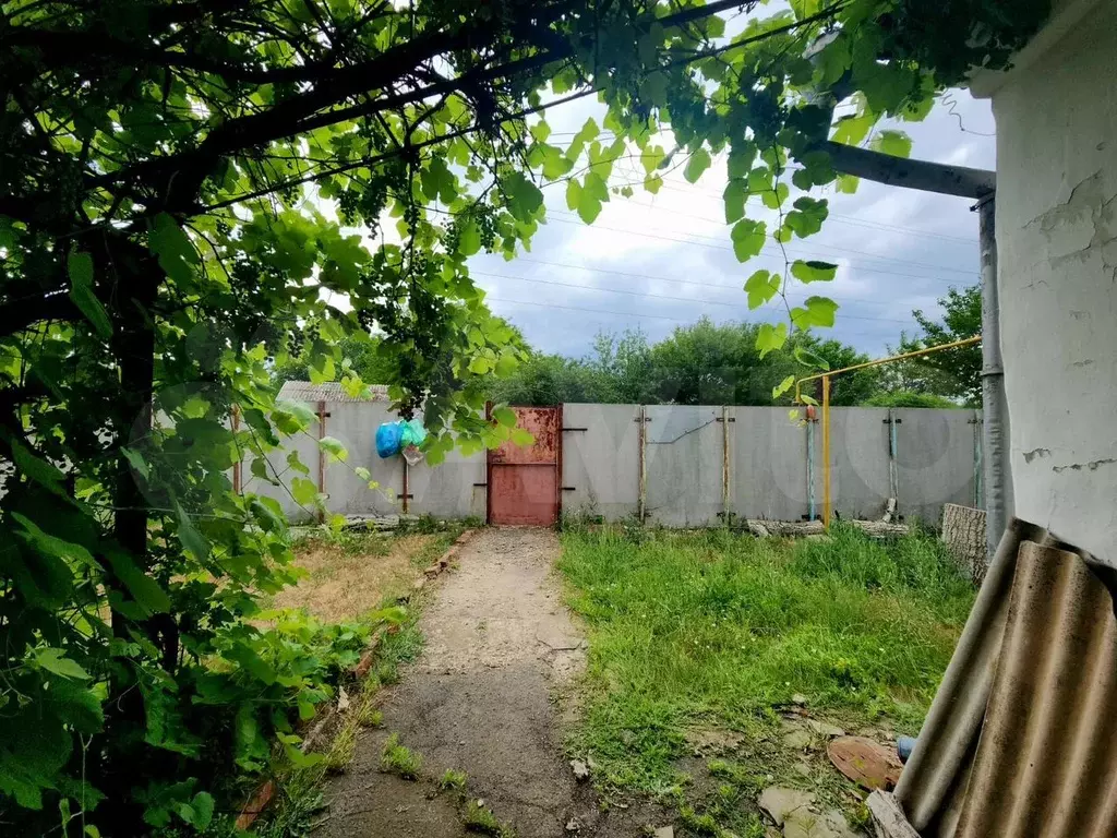 Дом 55 м на участке 9,2 сот. - Фото 1