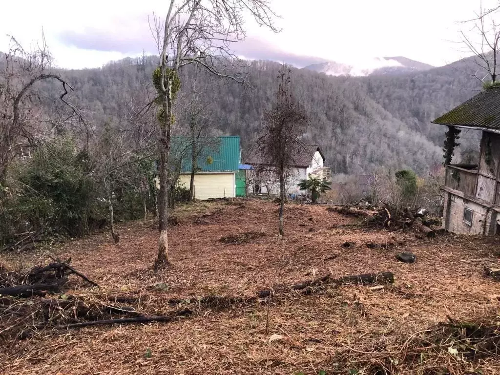 Сочинское село прогресс. Поселок прогресс амурская. Село прогресс. Школа в прогрессе сочи. Школа 57 сочи прогресс.