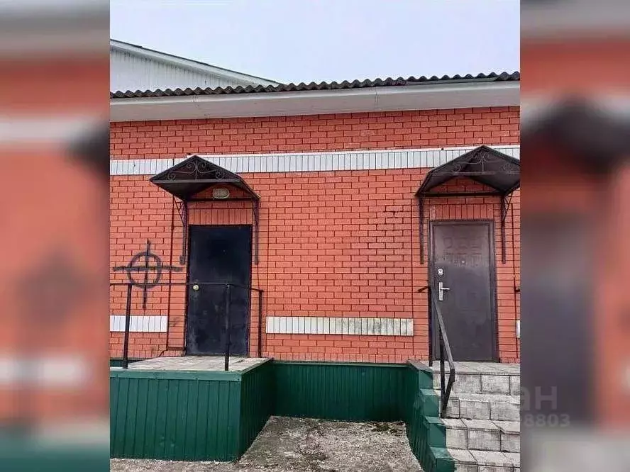 Помещение свободного назначения в Воронежская область, Россошанский ... - Фото 0