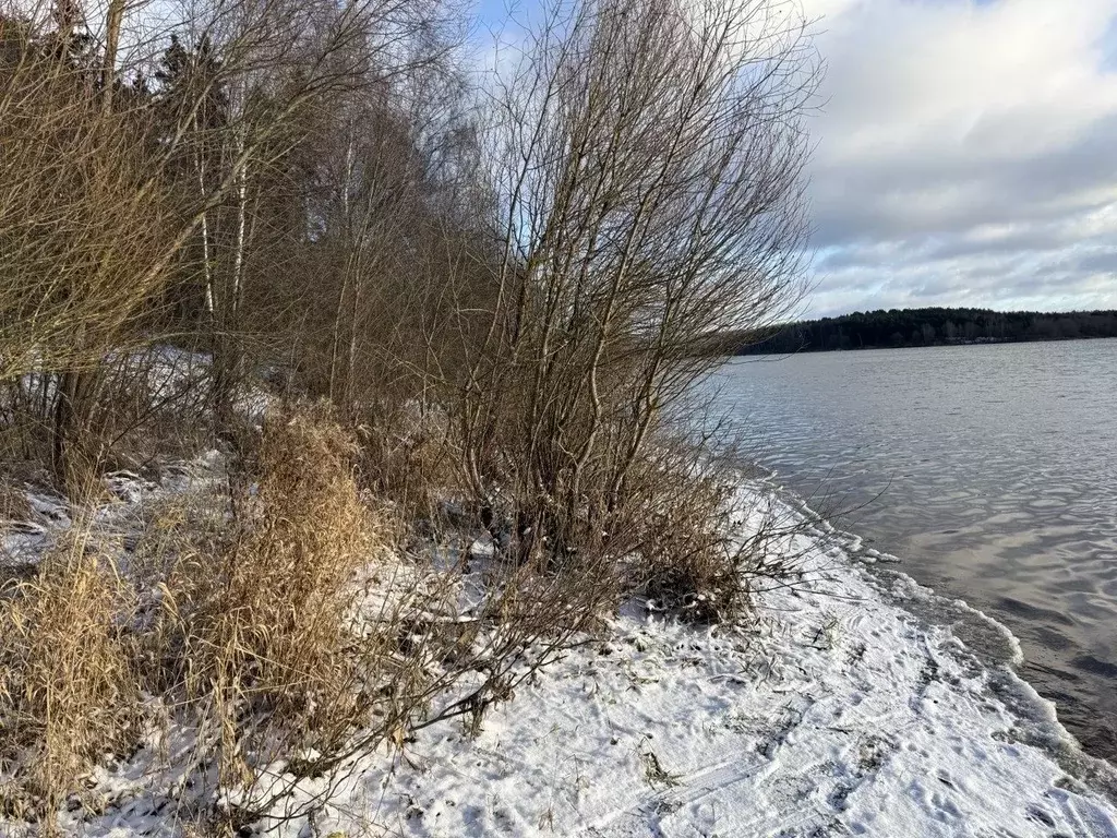 Участок в Московская область, Рузский муниципальный округ, д. ... - Фото 2