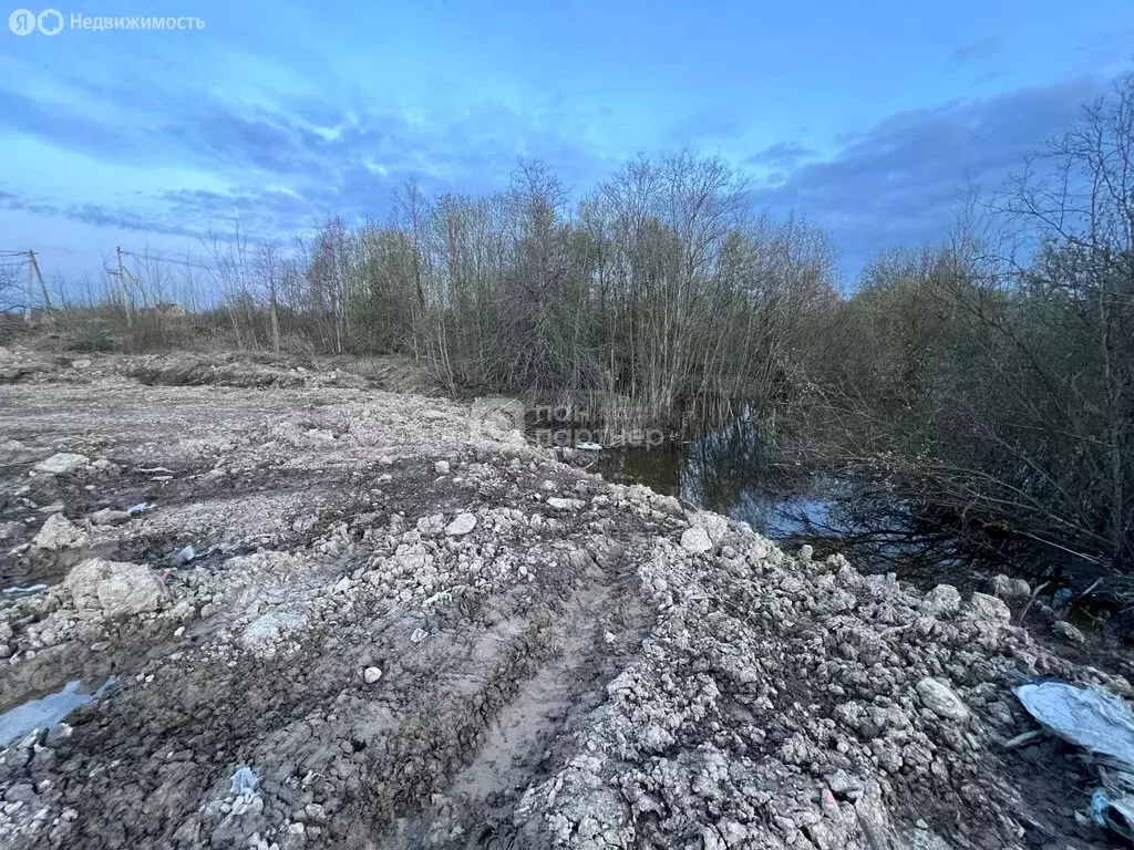 Участок в посёлок Петро-Славянка, СНТ Красноармейское, Береговая улица ... - Фото 0