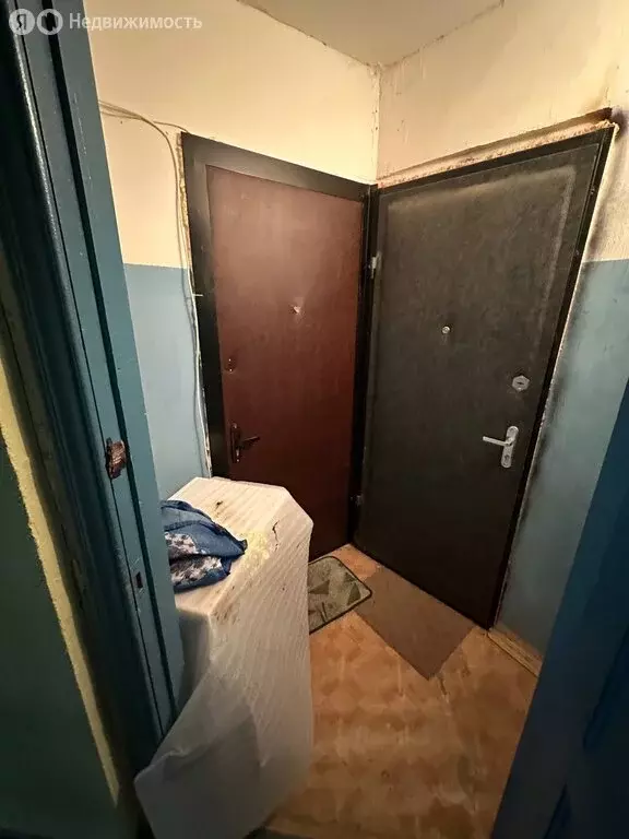 1-комнатная квартира: Кольчугино, улица Ломако, 14 (30.5 м) - Фото 1