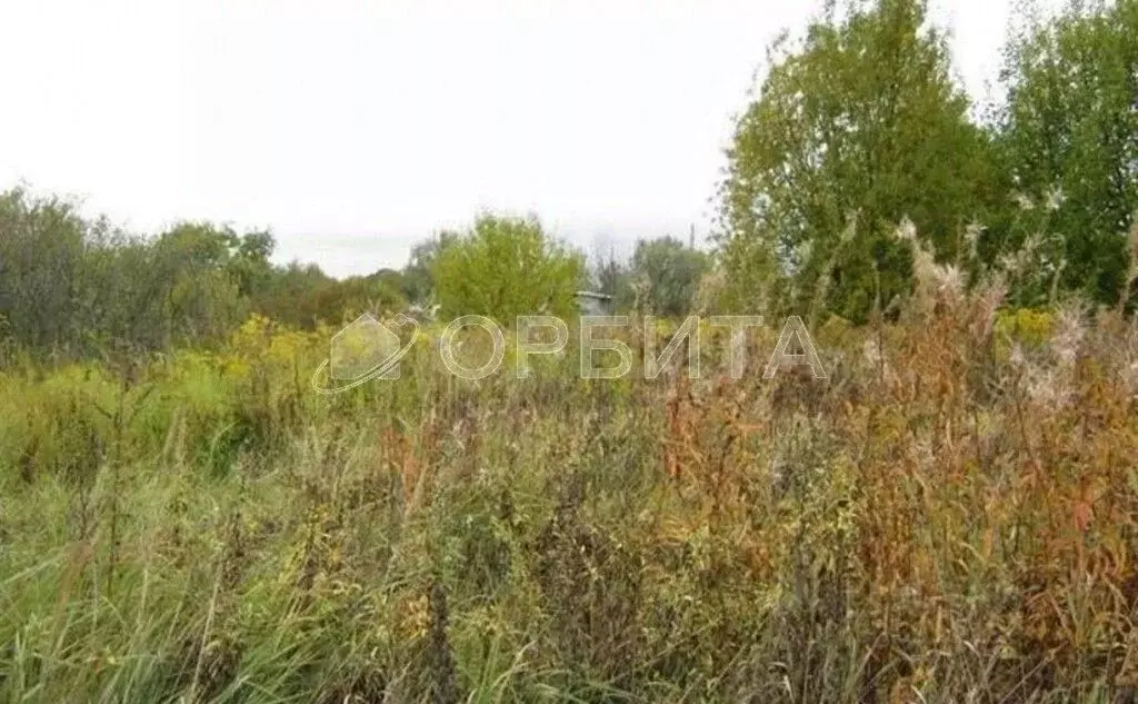 Участок в Тюменская область, Нижнетавдинский муниципальный округ, ... - Фото 2