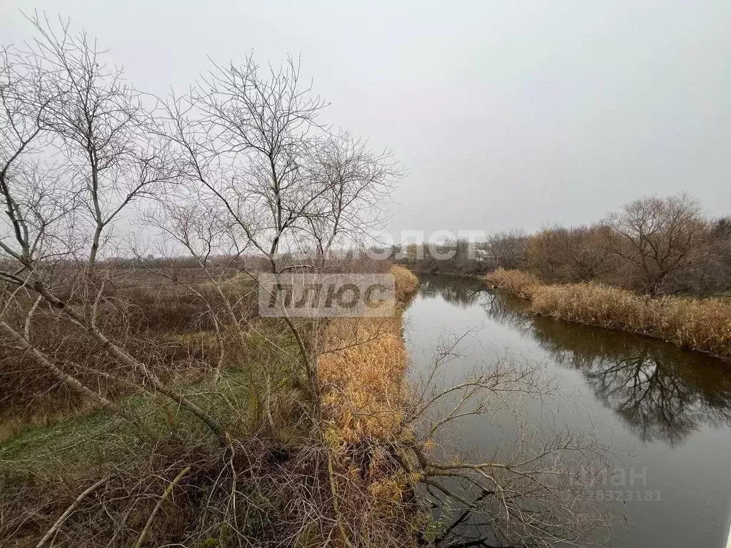 Участок в Ростовская область, Неклиновский район, с. Покровское пер. ... - Фото 1