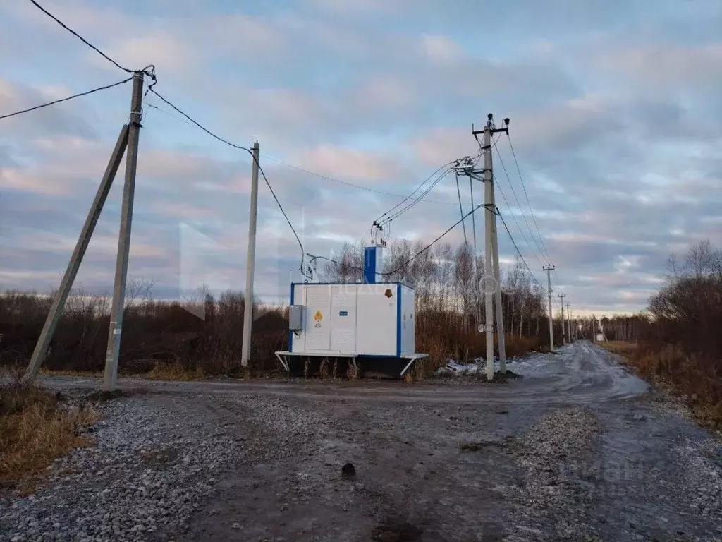 Участок в Тюменская область, Нижнетавдинский муниципальный округ, ... - Фото 2