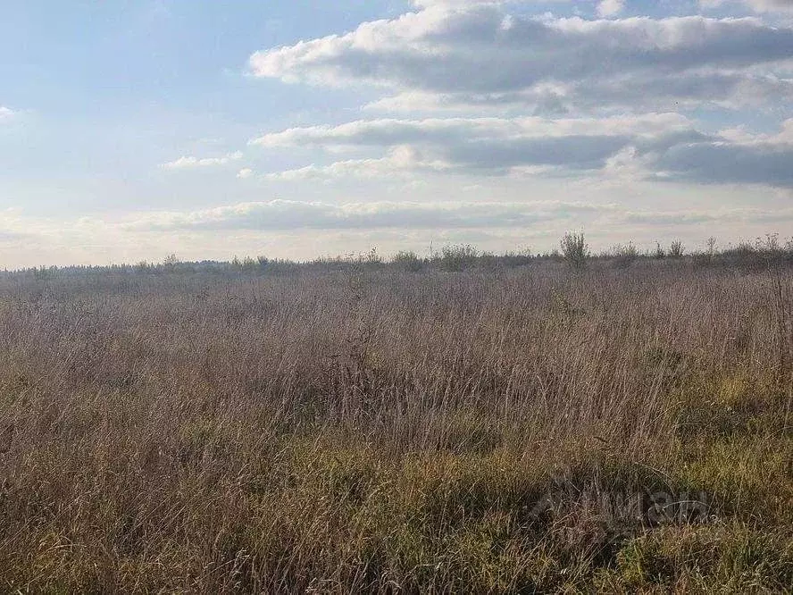 Участок в Московская область, Раменский муниципальный округ, пос. ... - Фото 1