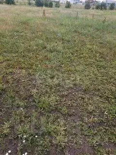 Участок в Липецкая область, Липецкий муниципальный округ, с. Сенцово  ... - Фото 2