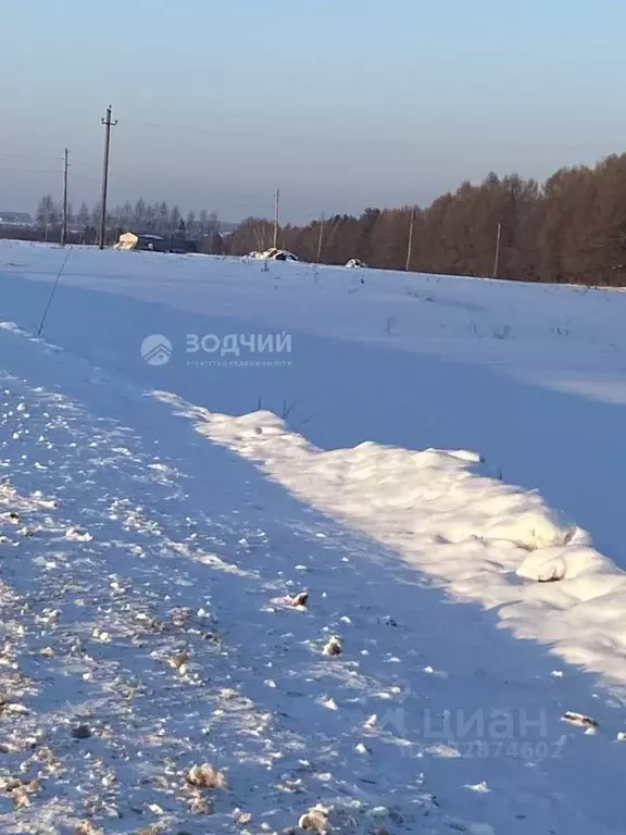 Участок в Чувашия, Ядрин ул. Строителей, 9 (12.0 сот.) - Фото 2