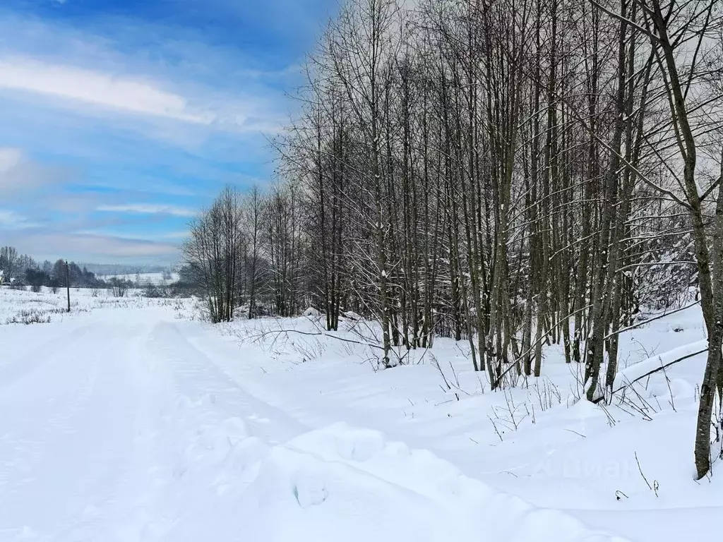 Участок в Московская область, Дмитровский муниципальный округ, Сбоево ... - Фото 1
