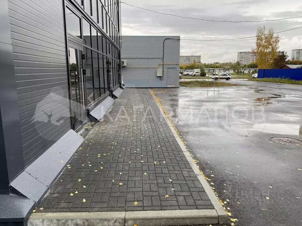 Помещение свободного назначения в Новосибирская область, Новосибирск ... - Фото 2