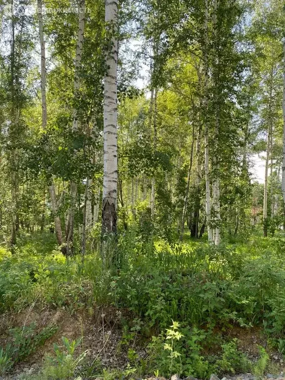 Участок в Иркутск (15 м) - Фото 1